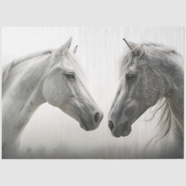 Papel De Seda Equilíbrio de Cavalos Brancos Face a Face (Frente )