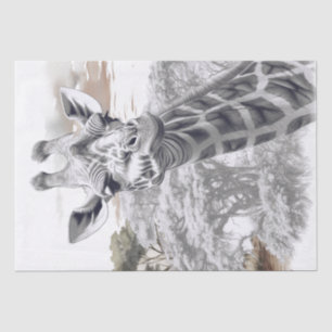 Papel De Seda Esboço do Lápis da Girafa Africana