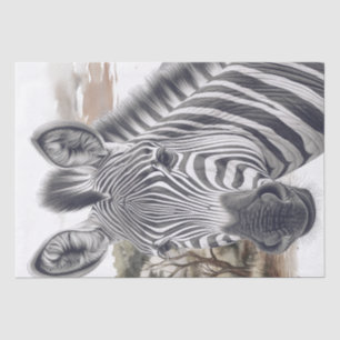 Papel De Seda Esboço do Lápis Zebra Africano
