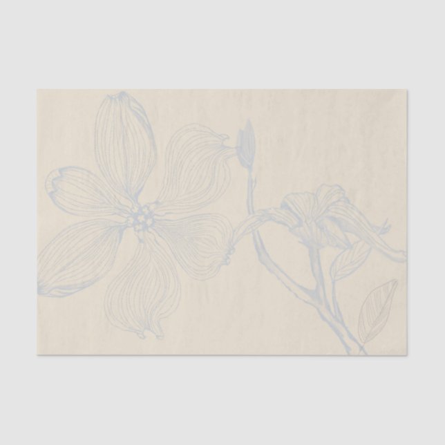 Papel De Seda Escala Lg do Ramo Dogwood Desenhado em Pergaminho (Frente )