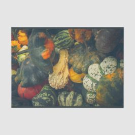 Papel De Seda Esmagamento e abóboras coloridas do outono