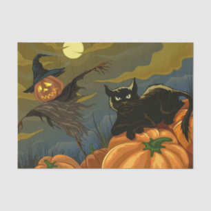 Papel De Seda Espantalho preto de gato e abóbora