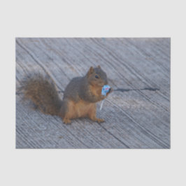 Papel De Seda Esquilo com pop