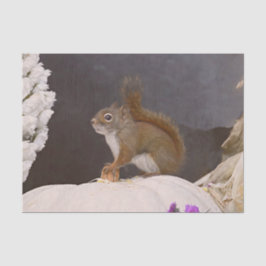 Papel De Seda Esquilo De Madeira Sentado Na Pumpkin