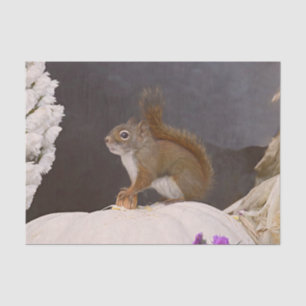 Papel De Seda Esquilo De Madeira Sentado Na Pumpkin