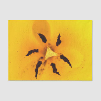 Papel De Seda Estame e pólen de tulipa