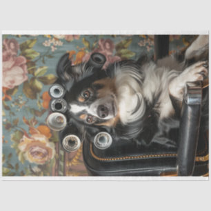 Papel De Seda Estilo de Corte de Cabelo Collie de Borda Separado