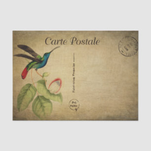 Papel De Seda Estilo francês Carte Postale Hummingbird