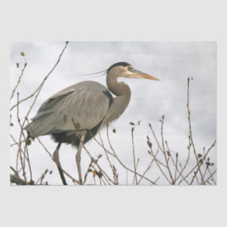 Papel De Seda Excelente Azul Heron Bird Wildlife Tissue Paper