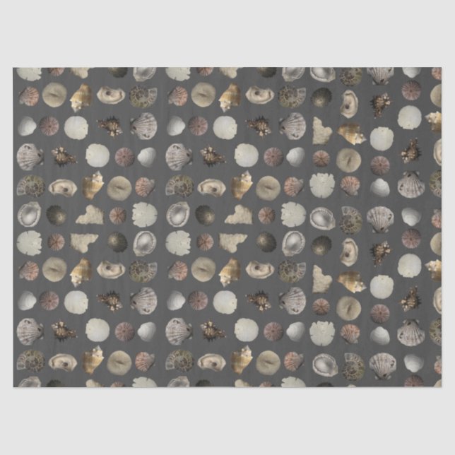 Papel De Seda Extravagância de Conchas do Mar  (Frente )