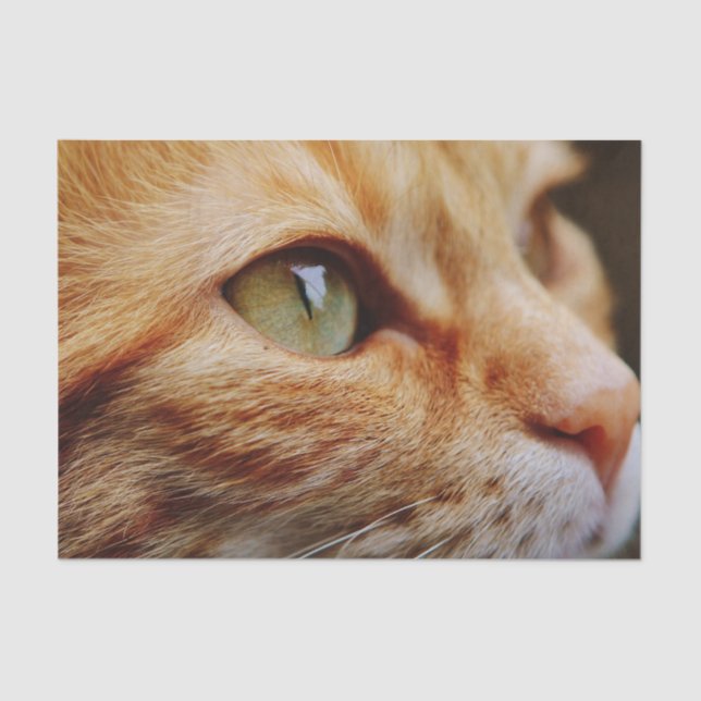 Papel De Seda Face determinada de um gengibre (Frente )