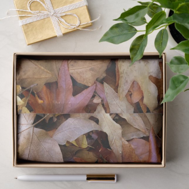 Papel De Seda Fall Leaf (Presente)