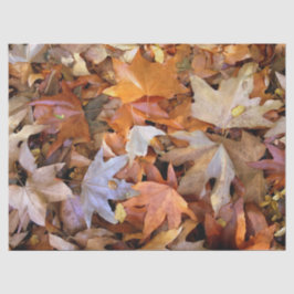 Papel De Seda Fall Leaf