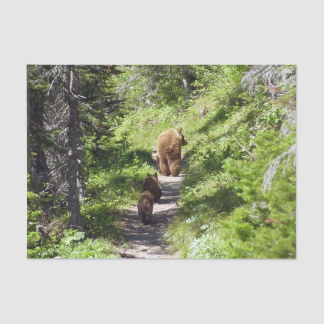 Papel De Seda Família Brown Bear (Frente )