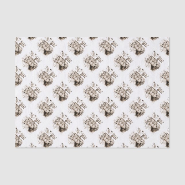 Papel De Seda Família de Lince-pardo (Frente )