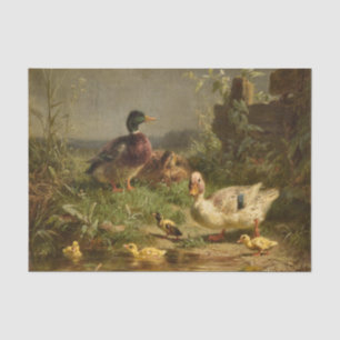 Papel De Seda Família de Patos por Carl Jutz