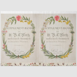 Papel De Seda Farinha Ferida Tecido botânico