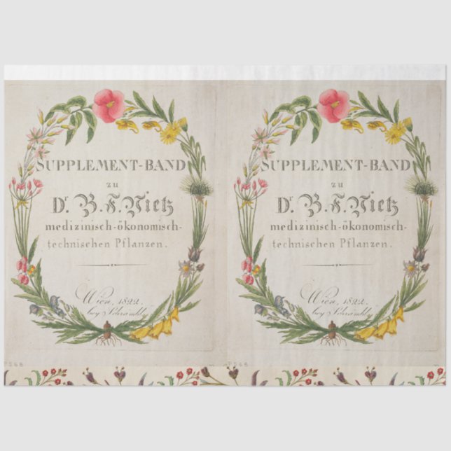 Papel De Seda Farinha Ferida Tecido botânico (Frente )