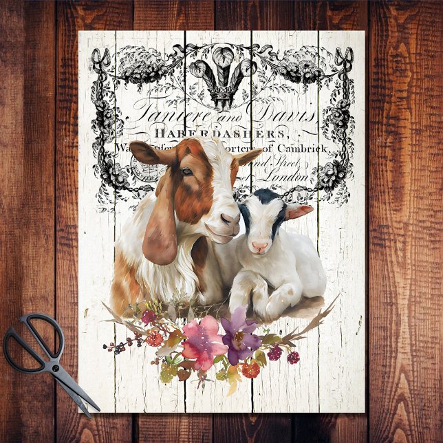 Papel De Seda Farmhouse Floral Boer Goats (Criador carregado)