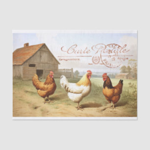 Papel De Seda Farmhouse Francês - Galinha - Rim Hen - Decoupage