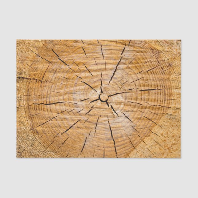 Papel De Seda Fatia da Vida (Frente )