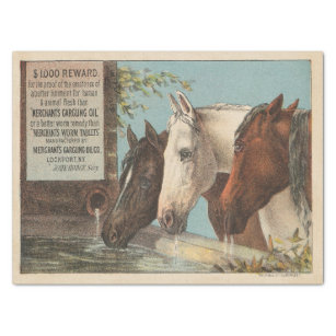 Papel De Seda Fazenda Cavalos Bebendo Anúncio de Água Ephemera