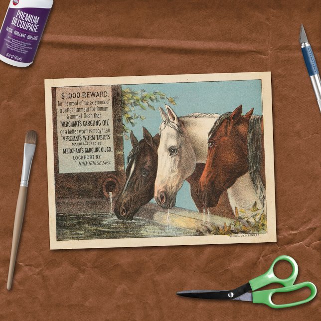 Papel De Seda Fazenda Cavalos Bebendo Anúncio de Água Ephemera (Criador carregado)
