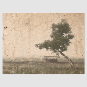 Papel De Seda Fazenda de bege - Vintage rústica da árvore do p