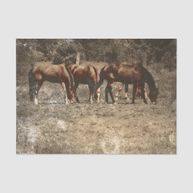 Papel De Seda Fazenda de Cavalos País Antigo Rústico Ocidental (Frente )
