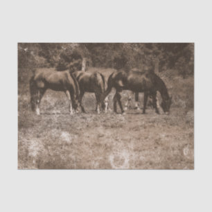 Papel De Seda Fazenda de Cavalos Vintage País Rústico Sépia Ocid