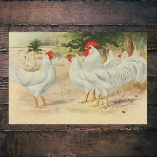 Papel De Seda Fazendas Vintage Roosters Solteiro Cob Leghors Bra
