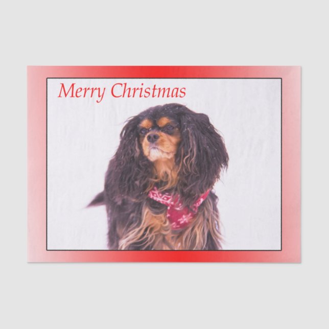 Papel De Seda Feliz Natal Black Tan Cavalier King Charles (Frente )