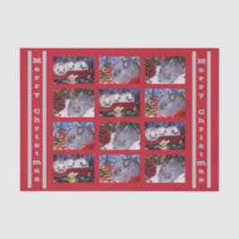 Papel De Seda Feliz Natal Coelho