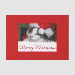 Papel De Seda Feliz Natal - gato do papai noel