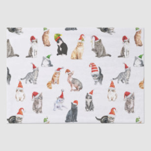 Papel De Seda Feliz Natal Gatos com Papai Noel