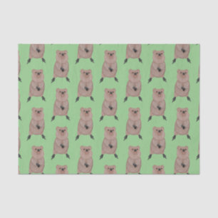 Papel De Seda Feliz sorriso, design de desenho animado de quokka