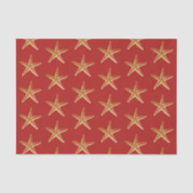 Feriado de Natal da Praia da Costeira de Peixes Do