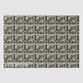 Papel De Seda Feriado no Jardim