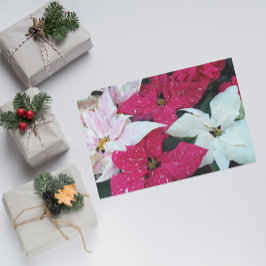 Papel De Seda Férias Festivas Poinsettia Floral