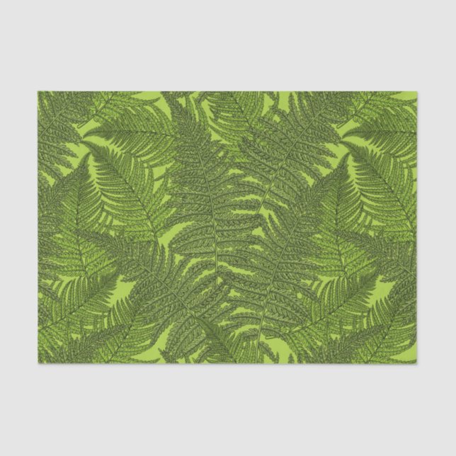 Papel De Seda Fern em verde (Frente )