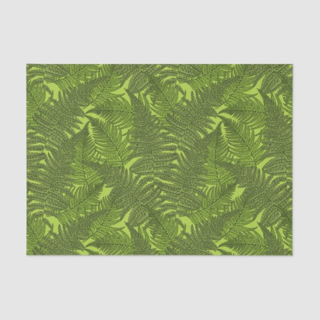 Papel De Seda Fern em verde (Frente )
