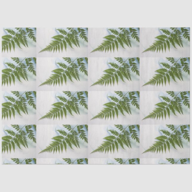 Papel De Seda Fern frond com espaço de texto (Frente )