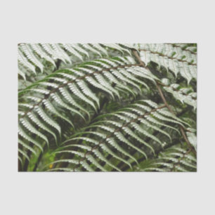 Papel De Seda Fern Fronds II Dark Green Nature