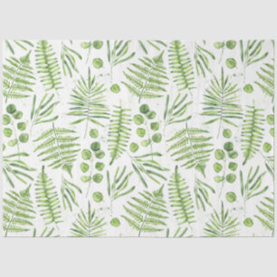 Papel De Seda Ferns de Aquarela e Padrão de Eucalipto