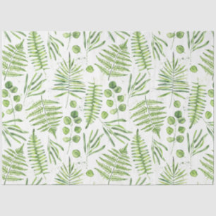 Papel De Seda Ferns de Aquarela e Padrão de Eucalyptus