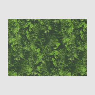 Papel De Seda Ferns Pintados