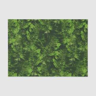 Papel De Seda Ferns Pintados