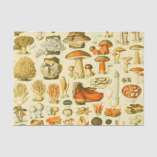Papel De Seda Ferramentas de Vintagem de Cogumelo Arte Botânica