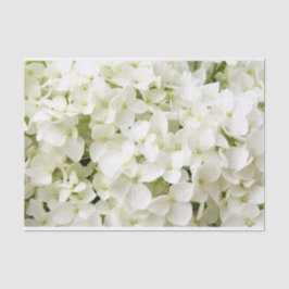 Papel De Seda Festa de Verão com Hortênsia Branca