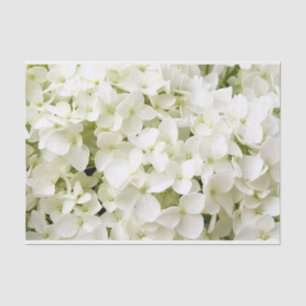 Papel De Seda Festa de Verão com Hortênsia Branca 